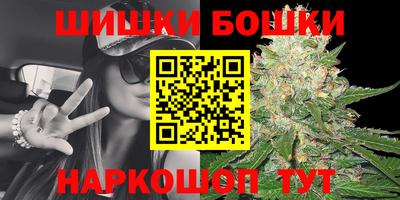 прущие грибы Гусиноозёрск