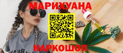 шишки Тара