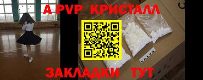 прущие грибы Гусиноозёрск