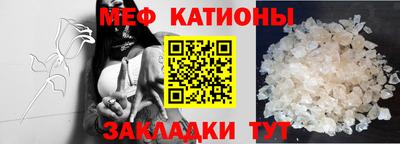 прущие грибы Гусиноозёрск