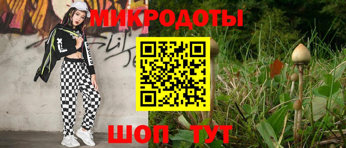 Псилоцибиновые грибы Cubensis  Вход с VPN  Псилоцибиновые грибы GOLDEN TEACHER  Михайловка 