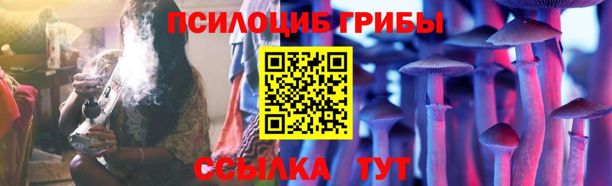 Галлюциногенные грибы прущие грибы Михайловка